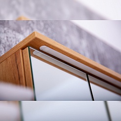 Бриклаер Зеркальный шкаф Форест 100 дуб золотой/антрацит – фотография-5