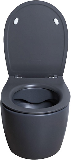 Allen Brau Чаша подвесного унитаза Fantasy 4.11004.AN антрацит – фотография-4