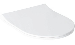 Allen Brau Унитаз подвесной Priority 4.31002.20 белый глянец с крышкой 4.31004.20 – фотография-3