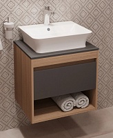 Teymi Тумба с раковиной Ritta 55 дуб эврика/графит матовый подвесная T60523 раковина T50002