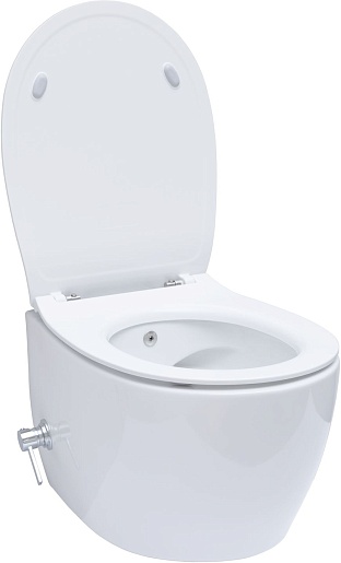 Allen Brau Унитаз подвесной Fantasy 4.11HC1.20 белый глянец с крышкой 4.11005.20 – картинка-31