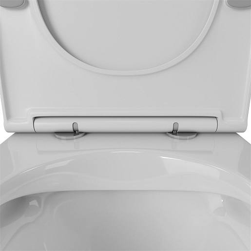 Owl 1975 Унитаз безободковый Vatter Ruta-H с сиденьем DP микролифт – картинка-3