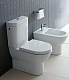 Duravit Унитаз-компакт Darling New 2138090000 – фотография-5