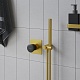 Paini Смеситель для душа Domus 18PJ690PZ встраиваемый, брашированные золото/чёрный – фотография-12