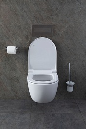 Allen Brau Унитаз с инсталляцией Priority 00301296/8.9466.0.000.000.1 белый глянец – фотография-17