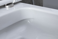 Allen Brau Унитаз с инсталляцией Priority 00301296/8.9466.0.000.000.1 белый глянец – фотография-7