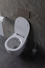 Allen Brau Унитаз подвесной Fantasy 4.11HC1.20 белый глянец с крышкой 4.11005.20 – фотография-7