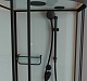 Frank Душевая кабина F409/2 black с крышей – картинка-17
