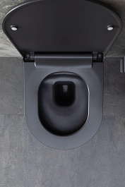 Allen Brau Чаша подвесного унитаза Priority 4.31002.AN антрацит – фотография-20