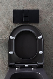 Allen Brau Унитаз подвесной Priority 4.31002.AN антрацит с крышкой 4.31004.AN – фотография-15