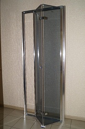 Parly Душевая дверь в нишу D81 – фотография-2