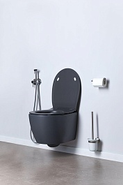 Allen Brau Чаша подвесного унитаза Fantasy 4.11004.AN антрацит – фотография-18