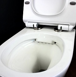 Teymi Унитаз подвесной Lina Pro T40106 – фотография-3