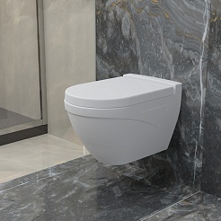 Ambassador Сиденье для унитаза Nord белое матовое – фотография-8