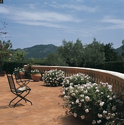 RosaGres Vintage – фотография-3