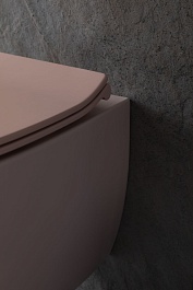 Allen Brau Чаша подвесного унитаза Fantasy 4.11004.SM розовый – фотография-11