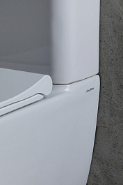 Allen Brau Унитаз напольный Priority 4.31003.20 белый – фотография-24