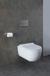 Allen Brau Унитаз с инсталляцией Priority 00301296/8.9466.0.000.000.1 белый глянец – фотография-12