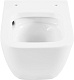 Allen Brau Унитаз подвесной Liberty 4.33011.20 белый с крышкой 4.33015.20 – фотография-35