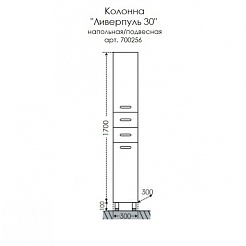 СанТа Пенал Ливерпуль 30 – фотография-2