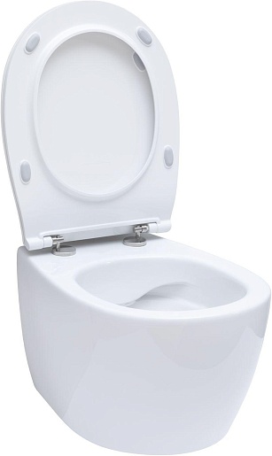 Allen Brau Чаша подвесного унитаза Fantasy 4.11004.20 белый глянец – фотография-4