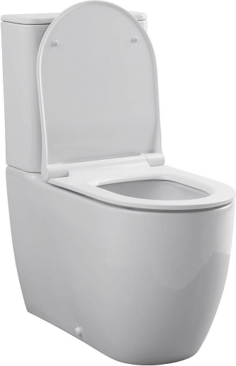 Allen Brau Унитаз напольный Priority 4.31003.20 белый – картинка-5