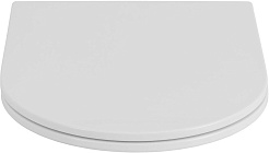 Allen Brau Унитаз подвесной Priority 4.31009.20 белый глянец с крышкой 4.31011.20 – фотография-6