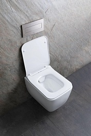 Allen Brau Унитаз подвесной Liberty 4.33007.21 белый матовый с крышкой 4.33008.21 – фотография-20