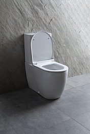 Allen Brau Чаша напольного унитаза Priority 4.31003.20 белый – фотография-18