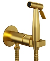 Paini Смеситель для биде с гигиеническим душем Castello CAPJ442R встраиваемый, рашированное золото