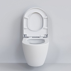 Ambassador Сиденье для унитаза Queen белое матовое – фотография-4