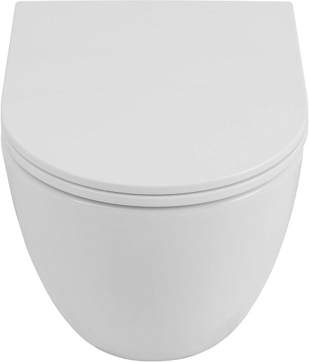 Allen Brau Унитаз подвесной Priority 4.31008.20 белый глянец с крышкой 4.31010.20 – фотография-16
