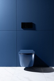 Allen Brau Чаша подвесного унитаза Fantasy 4.11004.ID индиго – фотография-11