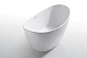 Vagnerplast Акриловая ванна Loma 167x79 – картинка-13