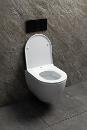 Allen Brau Чаша подвесного унитаза Priority 4.31008.20 белый глянец – фотография-9