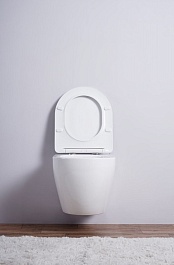 Esbano Унитаз Amapola подвесной безободковый белый матовый – фотография-7