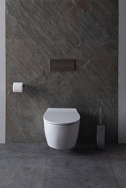 Allen Brau Унитаз подвесной Fantasy 4.11HC1.20 белый глянец с крышкой 4.11005.20 – фотография-3