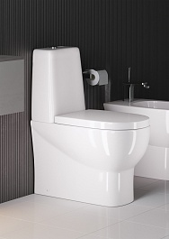 Sanita Luxe Унитаз-компакт Infinity mono DM с микролифтом – фотография-6