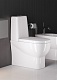 Sanita Luxe Унитаз-компакт Infinity mono DM с микролифтом – фотография-17