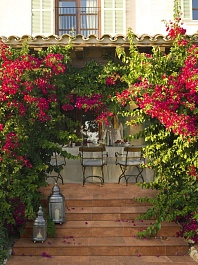 RosaGres Vintage – фотография-2