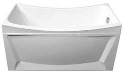 Triton Акриловая ванна Ирис – фотография-3