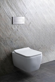 Allen Brau Унитаз подвесной Liberty 4.33007.20 белый с крышкой 4.33008.20 – фотография-27