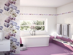 Mallol Lima – фотография-2