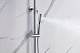 Allen Brau Душевая стойка Priority 5.31A10-00 хром – фотография-23
