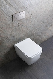 Allen Brau Унитаз подвесной Liberty 4.33007.21 белый матовый с крышкой 4.33008.21 – фотография-21