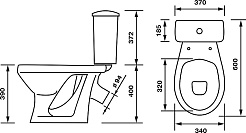Оскольская керамика Унитаз-компакт Суперкомпакт декор одуванчик – фотография-4