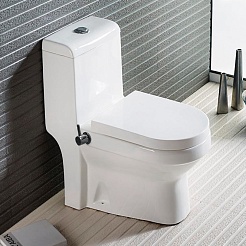 Azario Унитаз-моноблок Brusco AZ-1085B с функцией биде с бачком с сиденьем микролифт белый – фотография-2