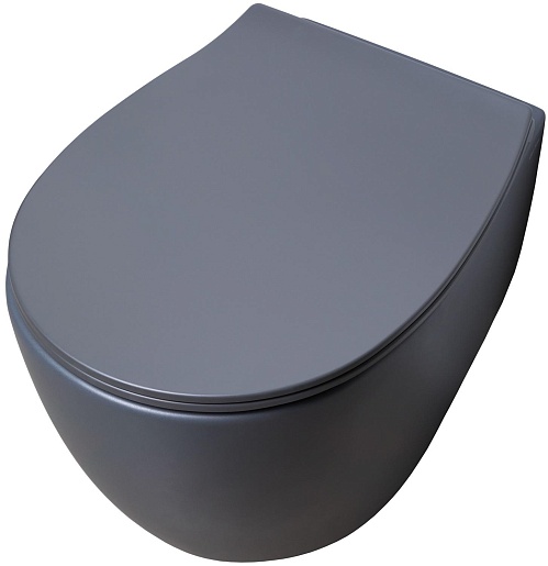 Allen Brau Чаша подвесного унитаза Fantasy 4.11004.AN антрацит – фотография-2