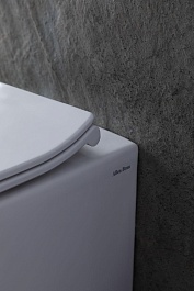 Allen Brau Чаша приставного унитаза Fantasy 4.11007.20 белый глянец – фотография-25