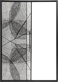 DTO Душевая дверь в нишу FB 120-140 Black – фотография-1